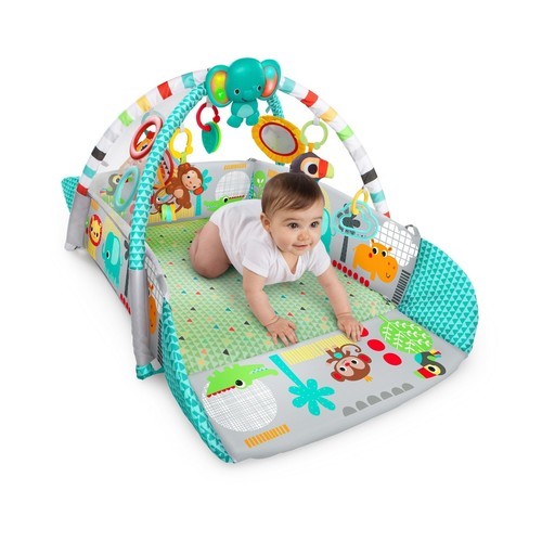 5 in 1 play gym