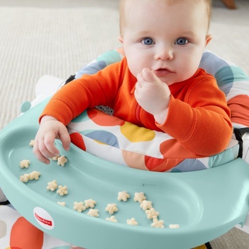 fisher price sit me up deluxe