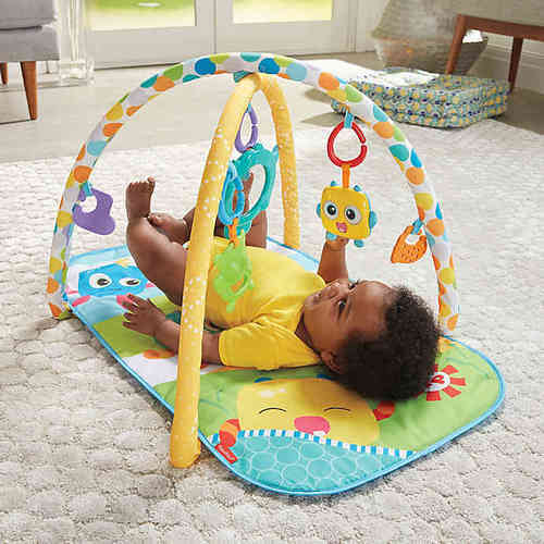 fisher price mini monsters activity gym
