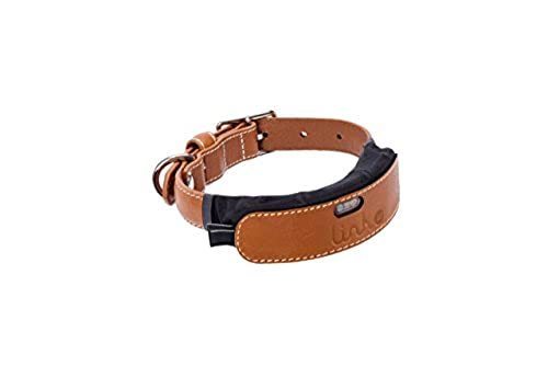 akc dog collar